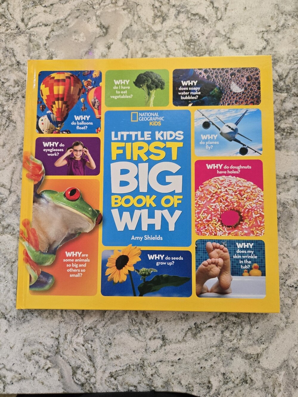 National Geographic Kids Little Kids First Big Book of Why - Yellow & Blue
